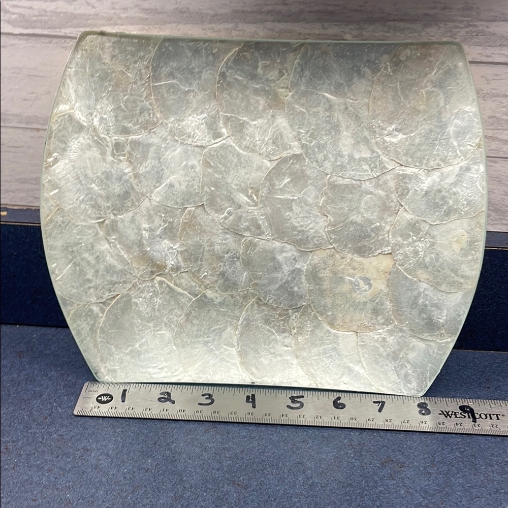 Elegant Cream capos shell Decorative Tray